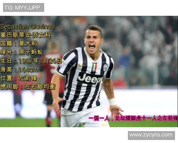 蚂蚁与足球明星球员的奇妙碰撞探索他们的成长与奋斗故事